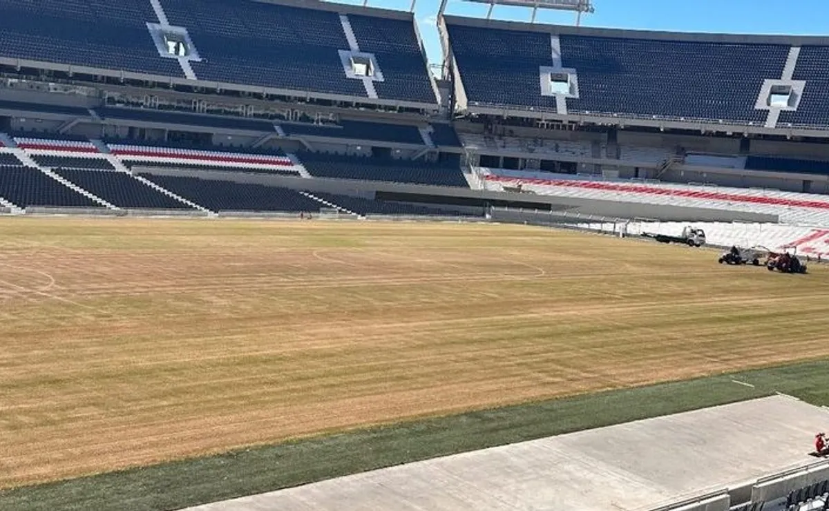 Así estaba el césped del Monumental hace unos días.