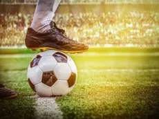 Cómo apostar en la Copa América 2024