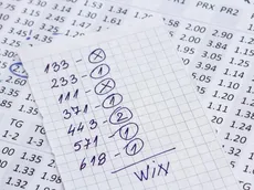 Cuotas deportivas en apuestas: guía para principiantes