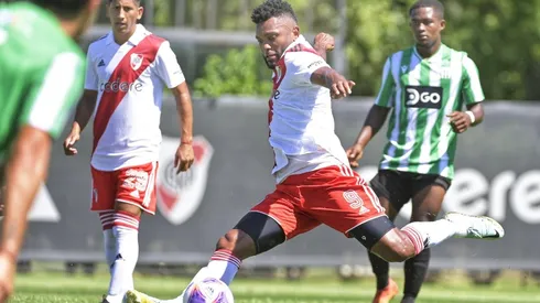 El Colibrí siempre está.