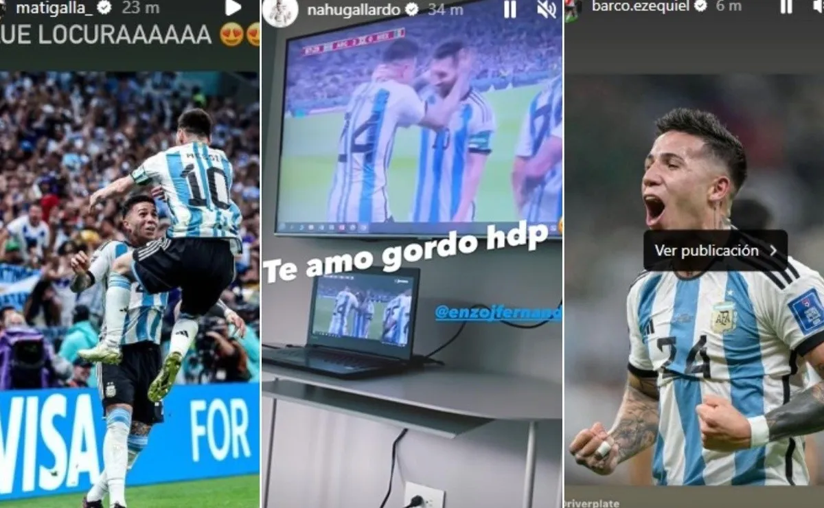 Las distintas reacciones al partidazo y al gol de Enzo frente a México.