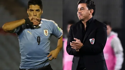El Pistolero se hizo eco de los rumores de Gallardo a la Selección de Uruguay.
