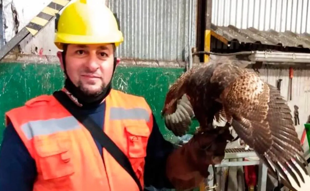 Mauro Príncipe es uno de los encargados de llevar su gavilán para cuidar al Monumental de las palomas que se comen las semillas.