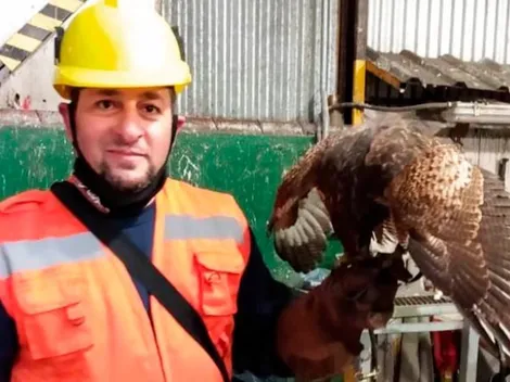 Los gavilanes siguen cuidando al Monumental