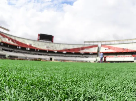 Así está el césped del Monumental