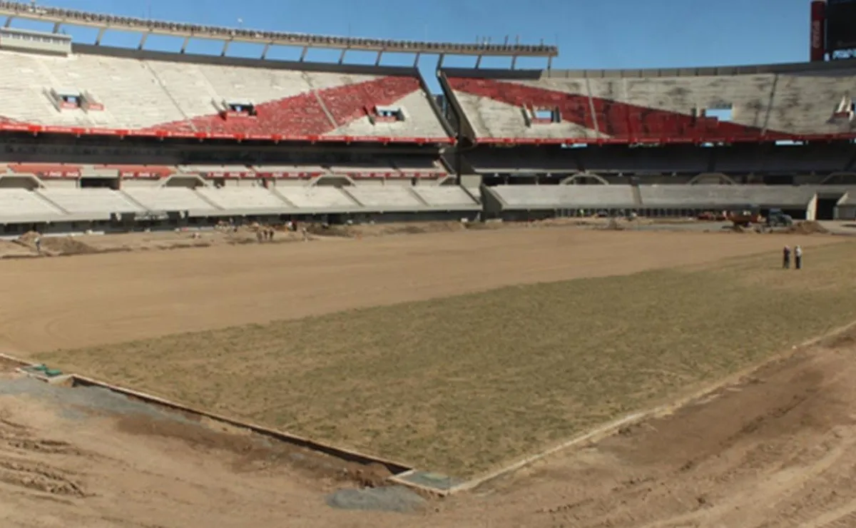 El nuevo césped ya está empezando a crecer en pleno Estadio Monumental