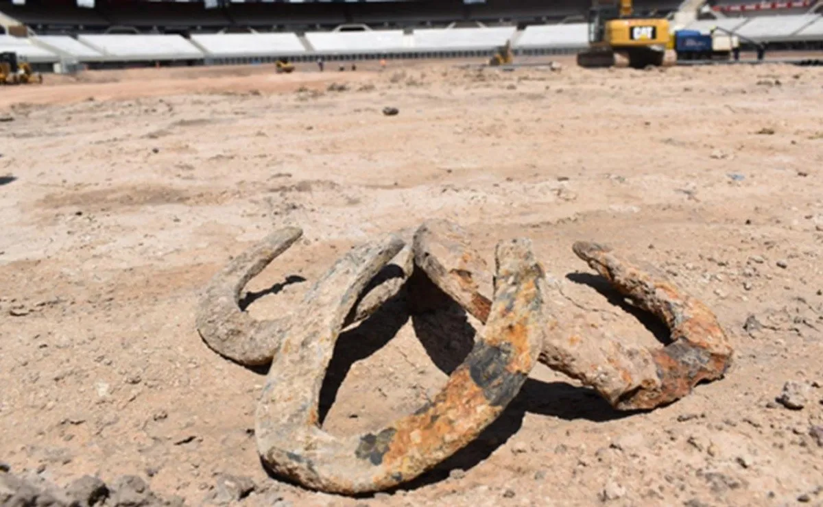 Tres herraduras aparecieron enterradas y ya fueron separadas para exhibirlas en el Museo River.