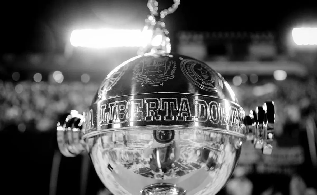 El 17 de septiembre, el Millonario regresa al torneo continental.
