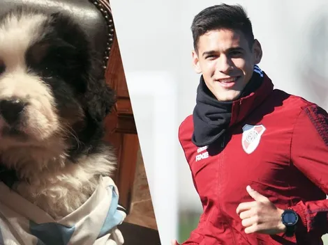 Bernabéu, el nuevo perro de Martínez Quarta