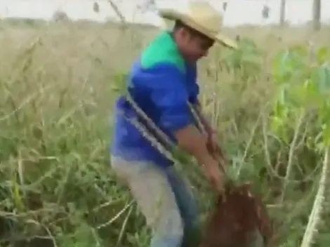 No deja de trabajar: Rojas se fue a su chacra de Paraguay a cosechar Mandioca
