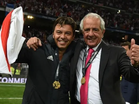 D'Onofrio: "Gallardo es barato"