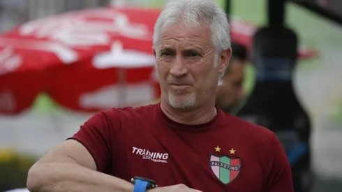 Ivo Basay, DT de Palestino.