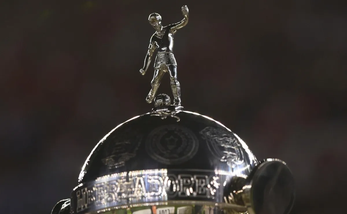 River acumula US$ 81.500 en multas durante la Copa Libertadores 2018.