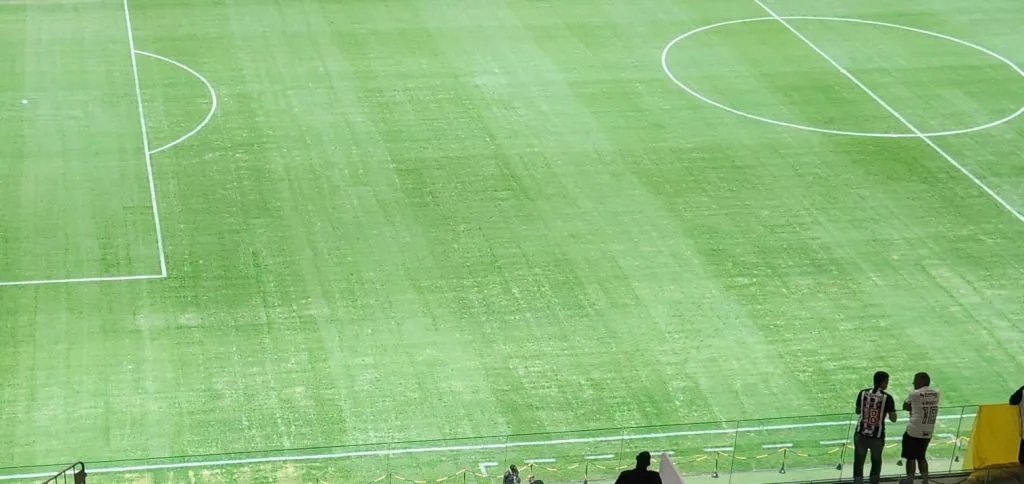 Así está el césped del estadio de Mineiro.