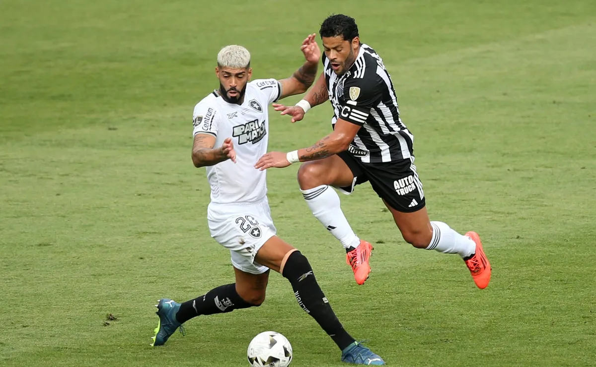 Alexander Barboza, una de las figuras del Botafogo campeón.