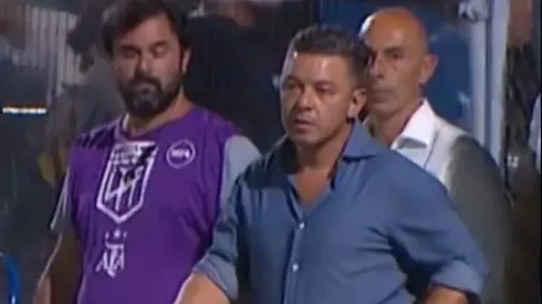 Gallardo fastidioso en el entretiempo.