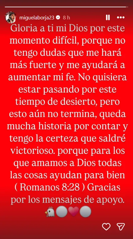 La historia que subió Borja tras errar su penal.