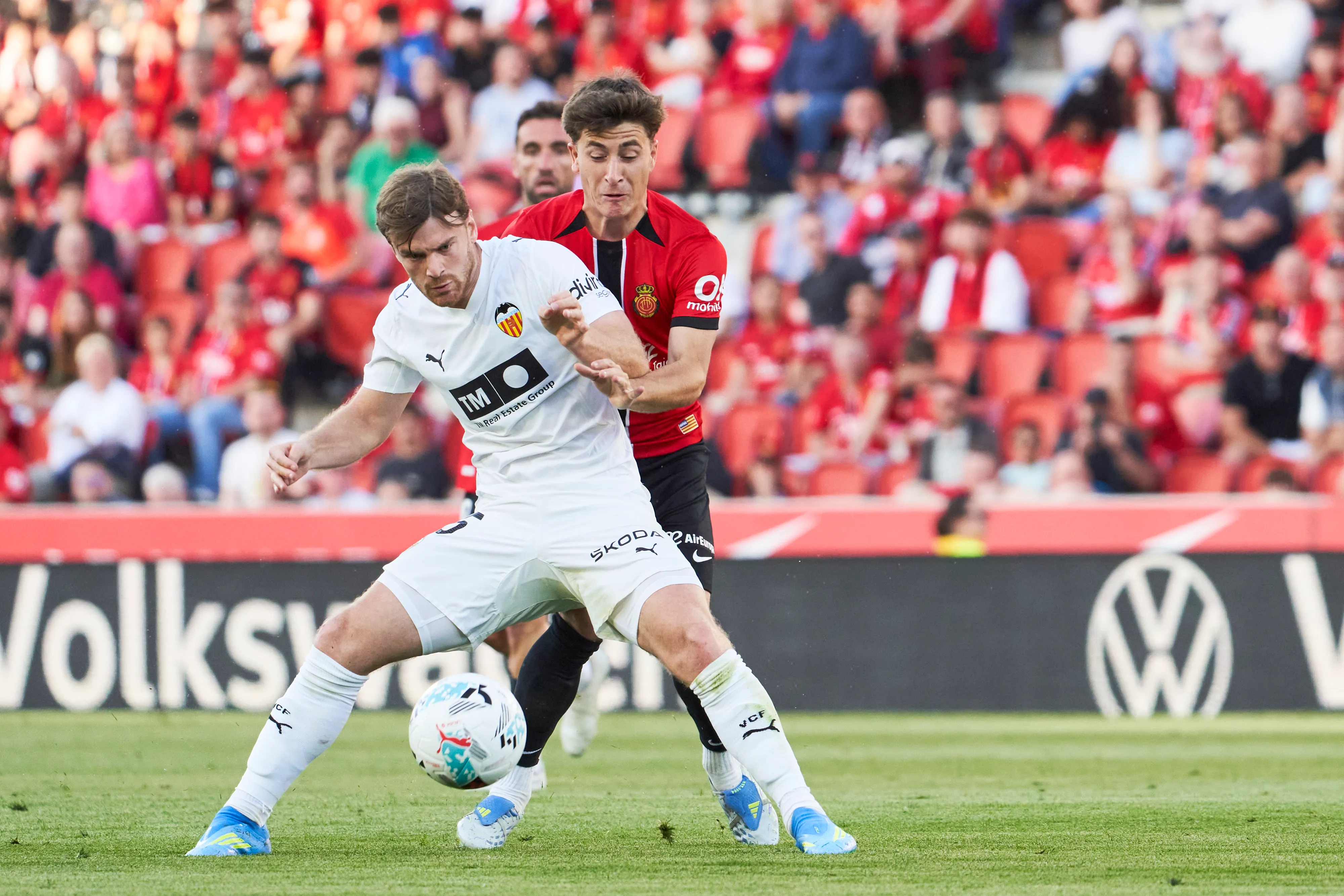 Beltrán vuelve a Fiorentina tras su paso por Valencia y a River le interesa.