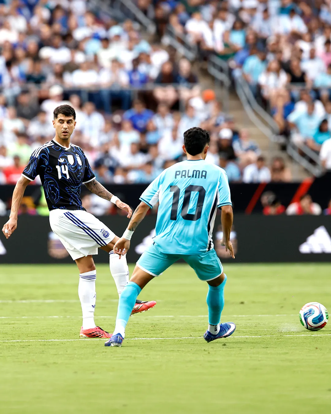 Palacios acertó 114 pases sobre los 115 que intentó ante Honduras. (Selección Argentina oficial)